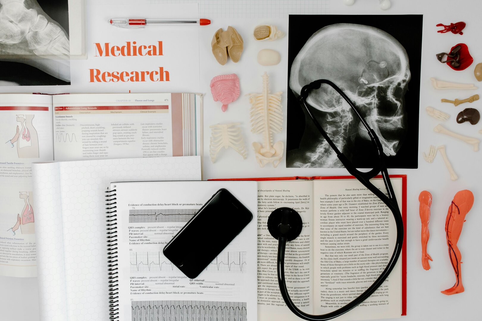 Healthcare professionals working with patients